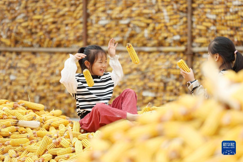 奔驰网址ben3322