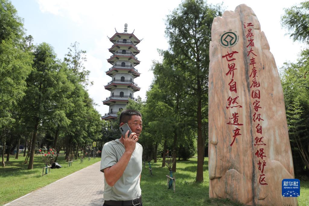 捕鱼玩